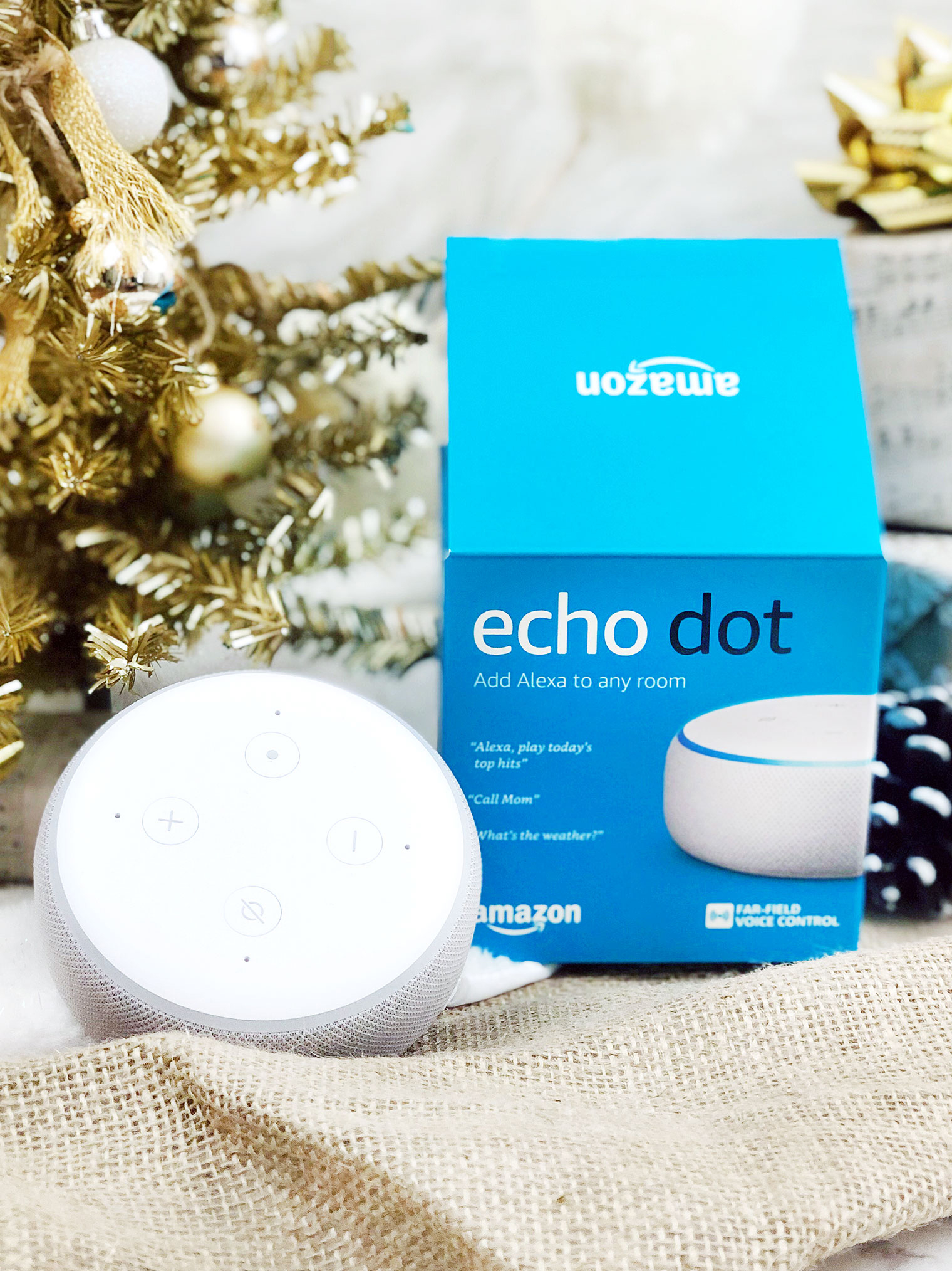 How to Use Your Echo Dot and Simplify Your Life With It