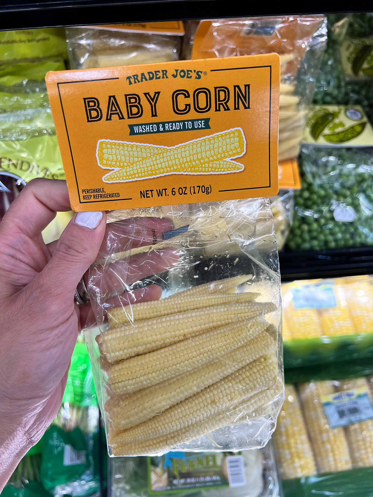 Trader Joe's Fall Finds {2022}