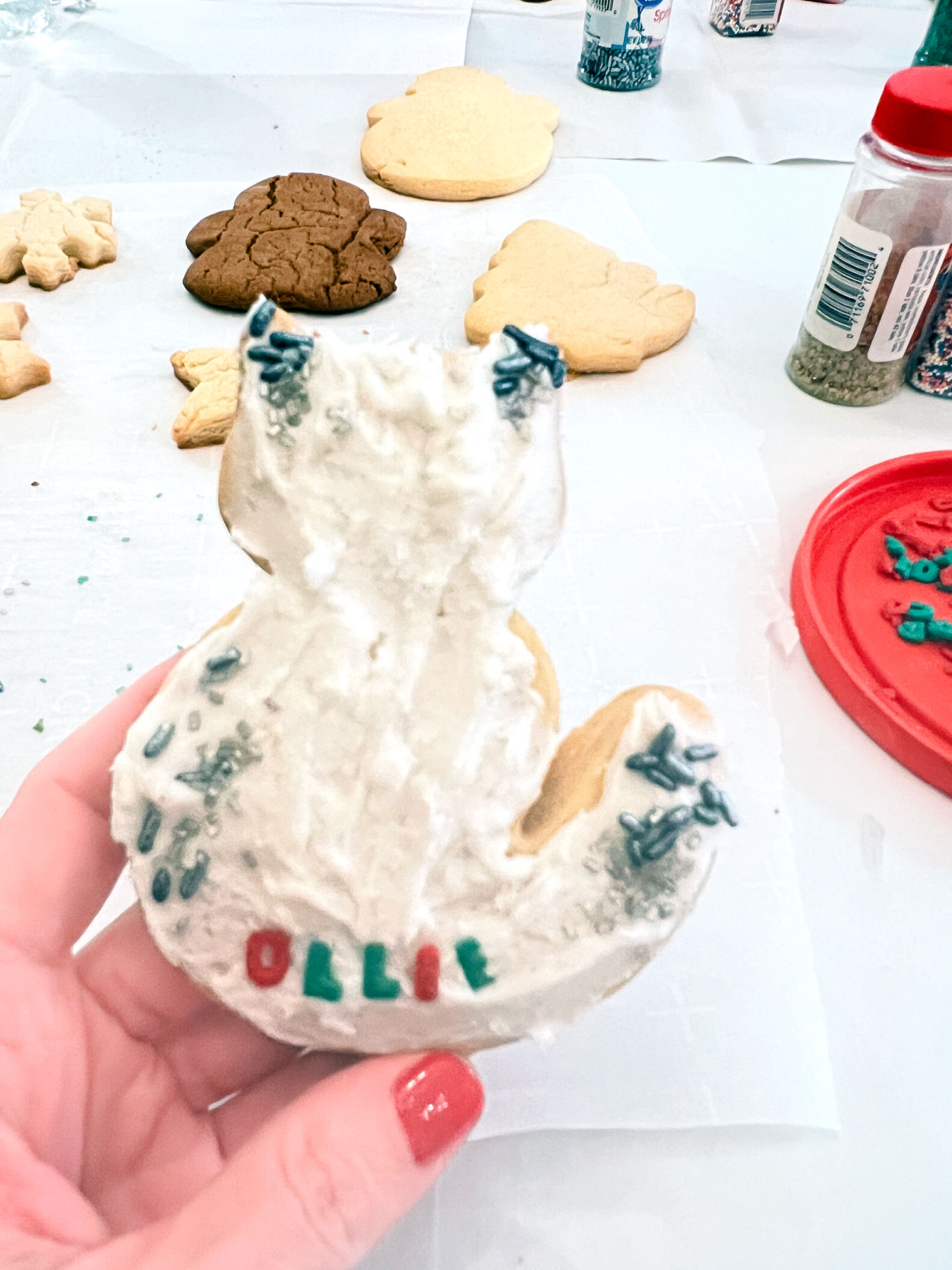 Friday Five {January 2024} - Curly Crafty Mom