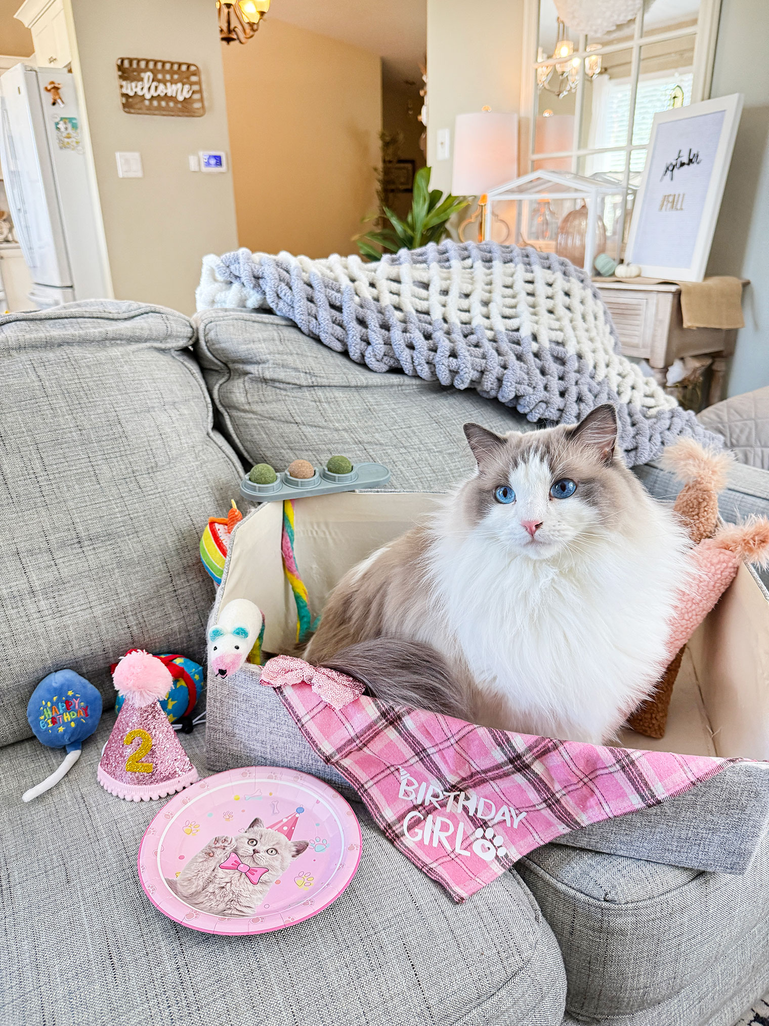 Friday Five {September 2025}