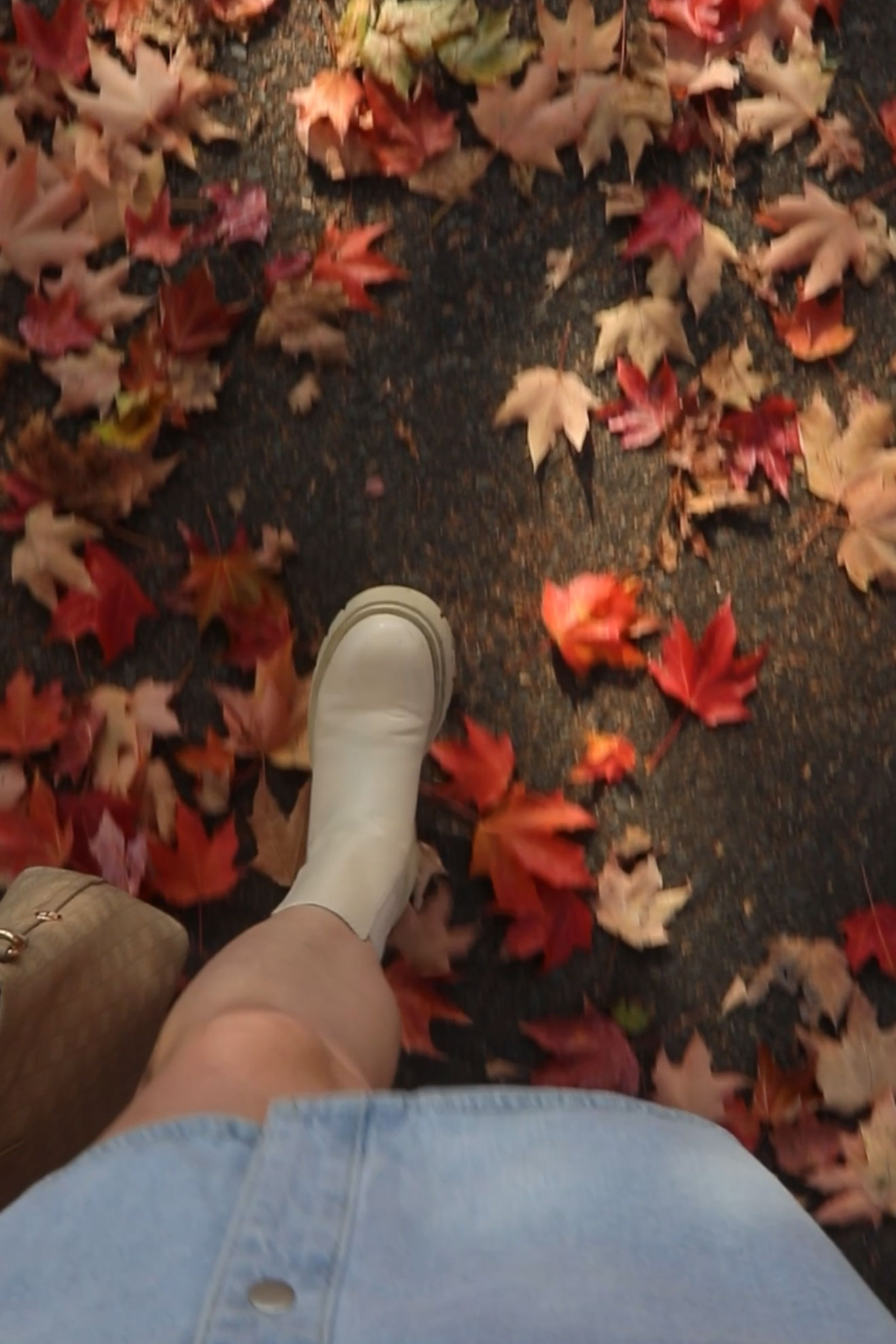 Friday Five {October 2025}