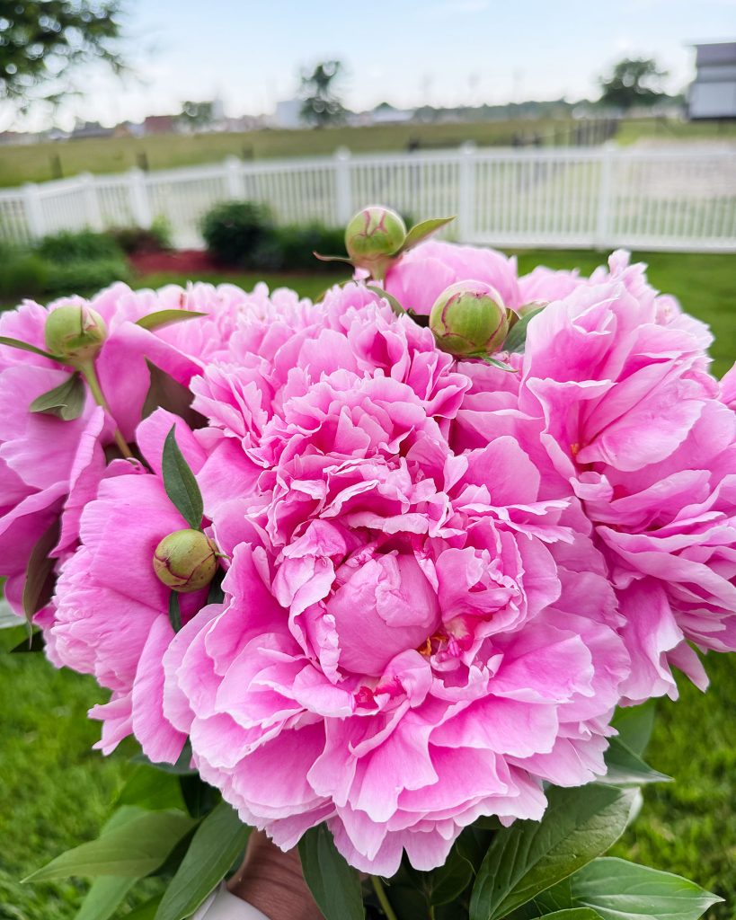 Mother’s Day Isn’t Just for Moms with Little Kids