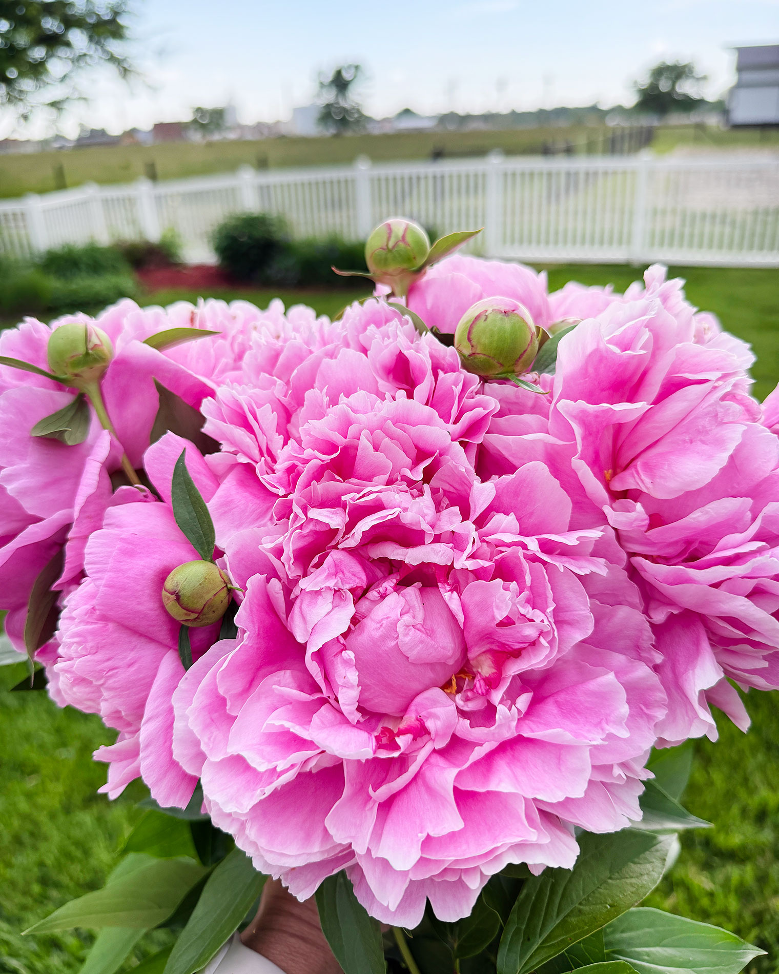 Mother’s Day Isn’t Just for Moms with Little Kids