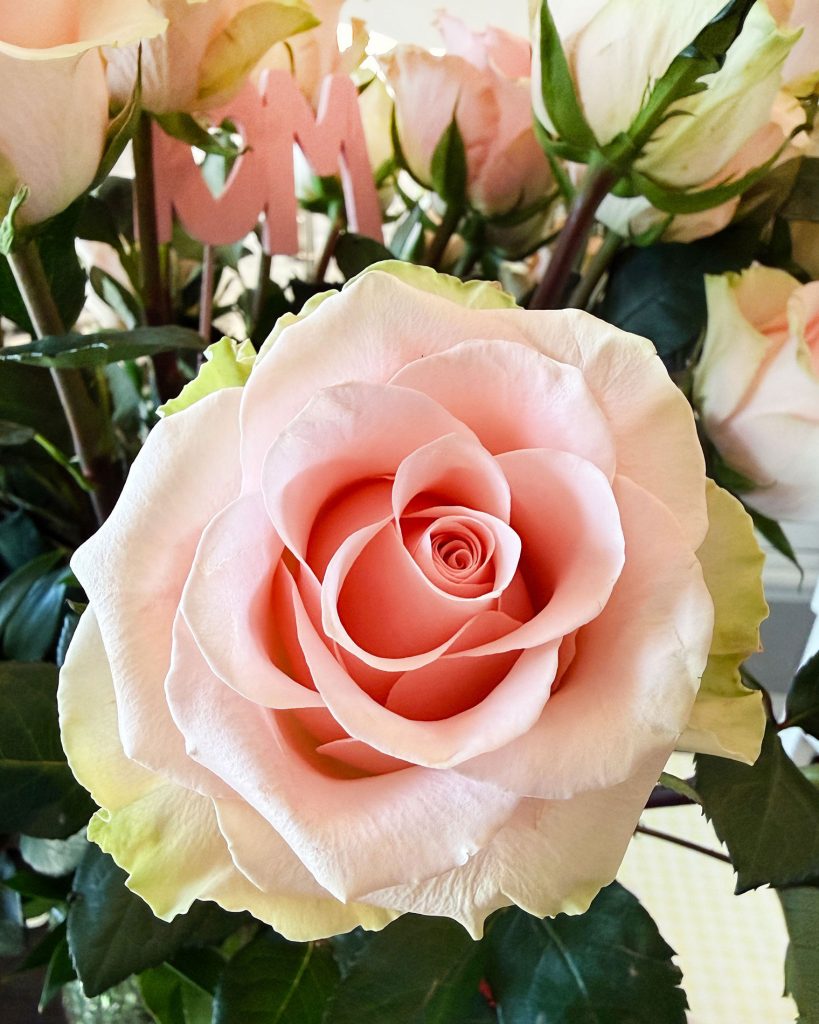 Friday Five {May 2026}