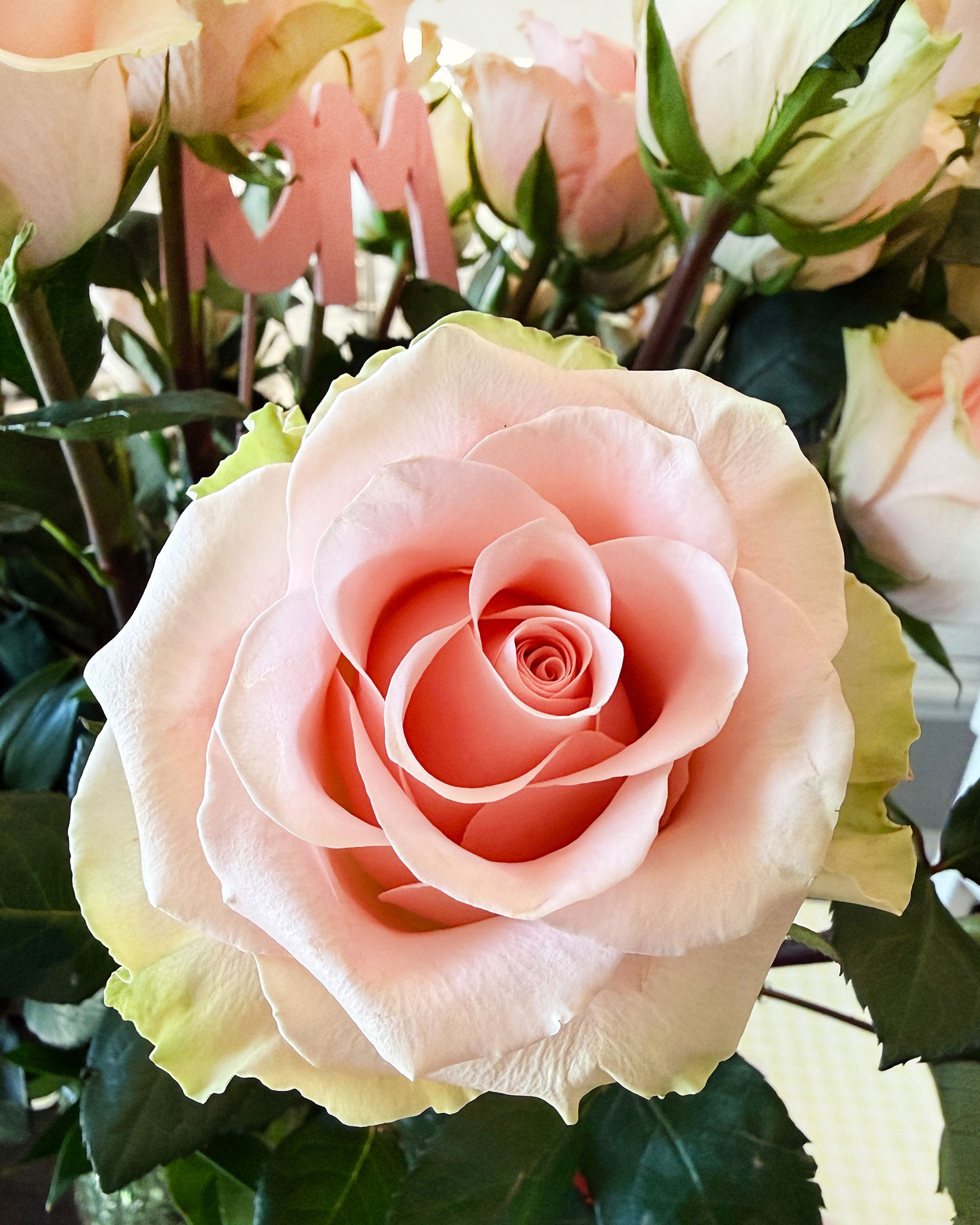 Friday Five {May 2026}