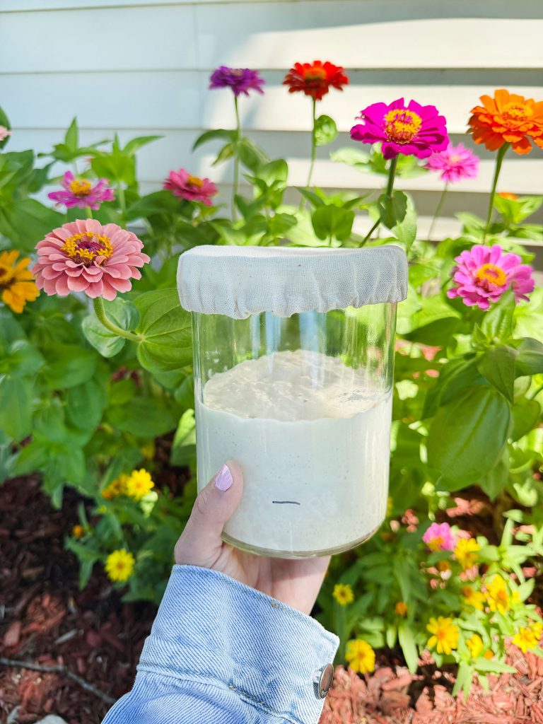 My First Week Learning Sourdough