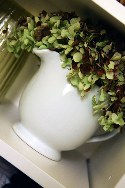 Hydrangea-in-pitcher