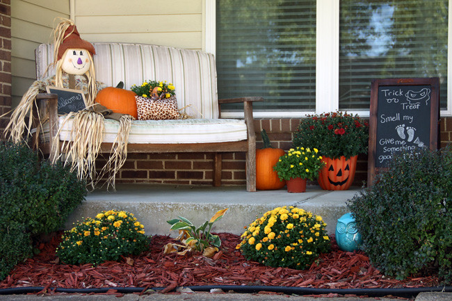 Front-Porch-Midway-View
