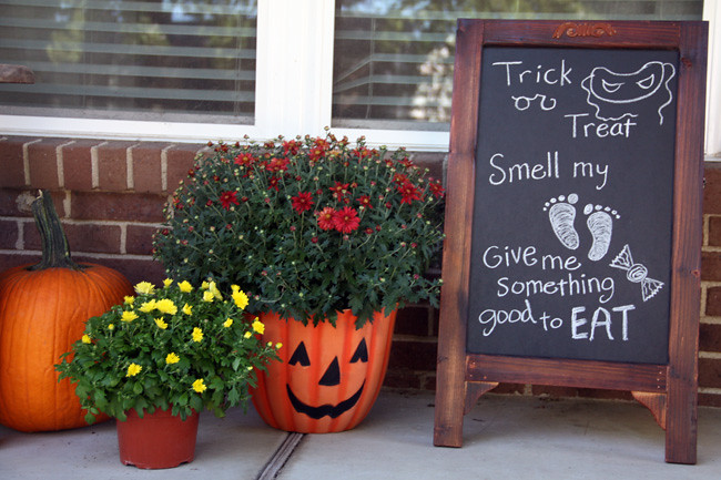 Chalkboard-with-flowers-around-it