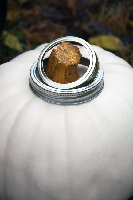 Game_Rings-on-Pumpkin