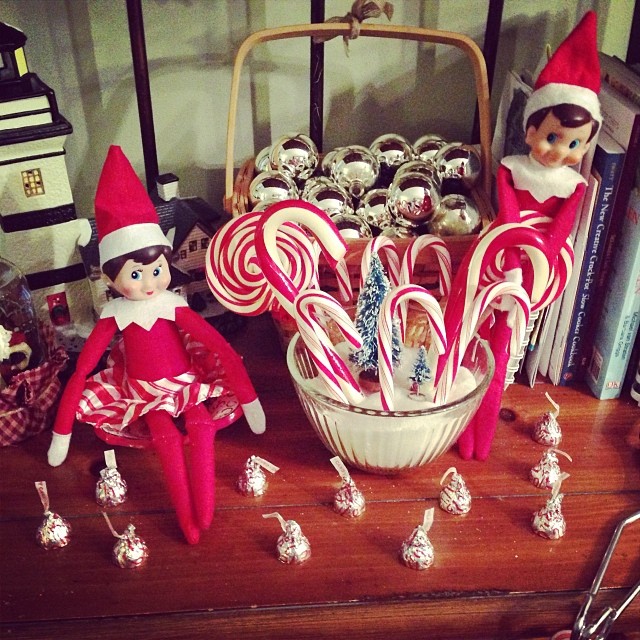 Well, the kids awoke this morning to find that the peppermint Hershey kisses that they had planted grew into candy canes overnight!! What a sweet surprise!