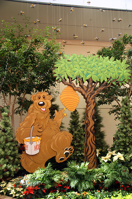 Honey-bear-and-BEEs