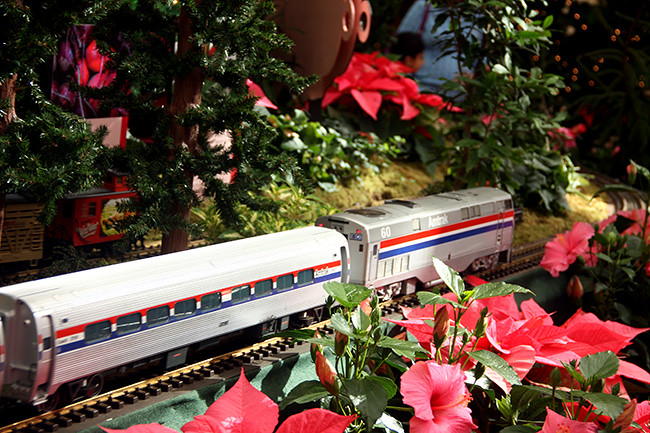 Amtrak-train
