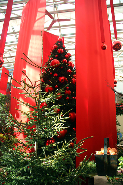 Christmas-Tree