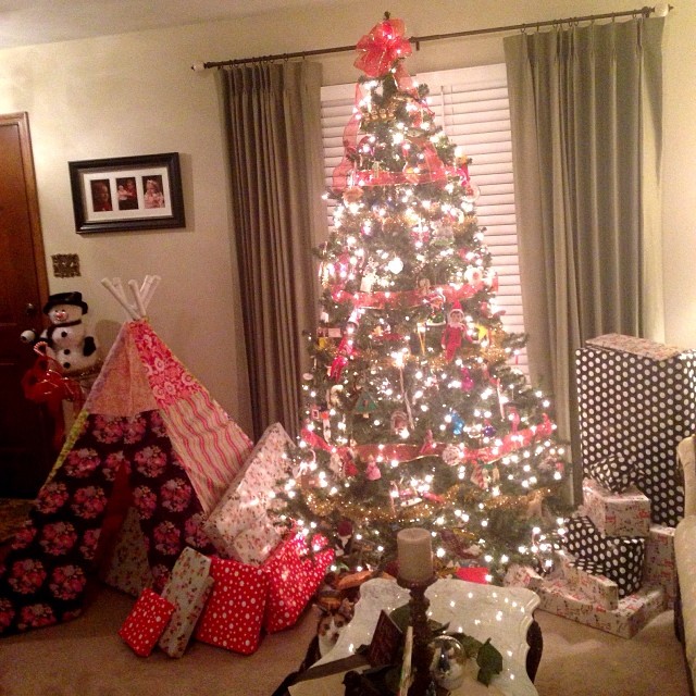 Day 24. Wrapped. Santa came!! So excited to see Nathan and Autumn's smiling faces tomorrow!! Brathes is photobombing! Isn't Airimn's fabric tent adorns?! #fmsphotoaday