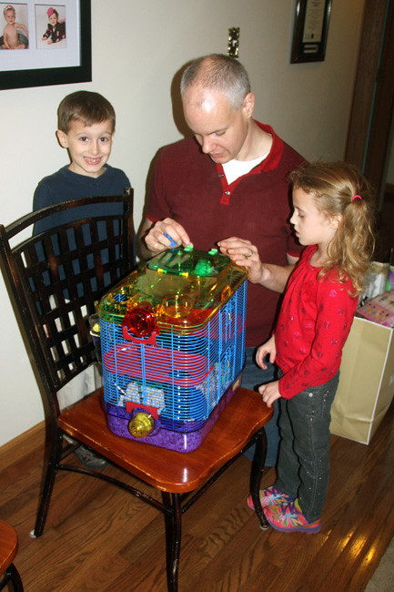 hamster-cage