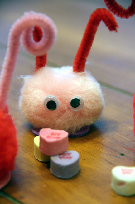 Pink-pom-pom