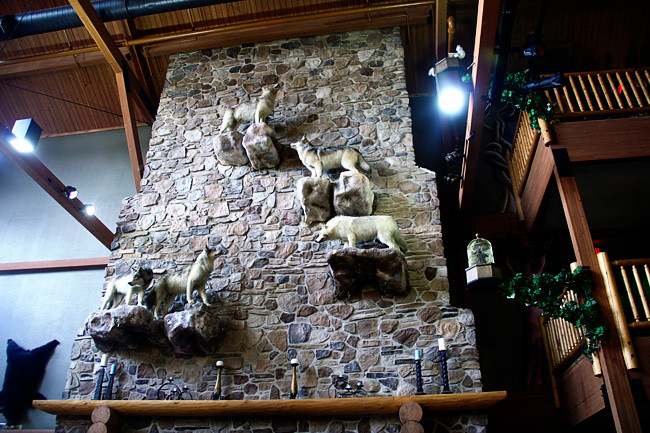 Entry_Wolves