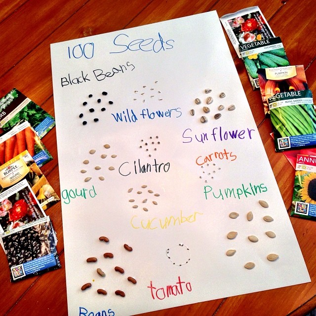 100 Day of School project done... Just used stuff from around the house. I am so ready for Spring I got last years seed packets out!! Not the neatest, but he isn't graded on this one so we just had fun with it... Which was nice! #100daysofschool #thisfrid