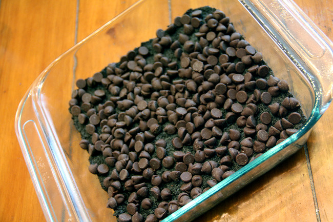 Choc-Chip