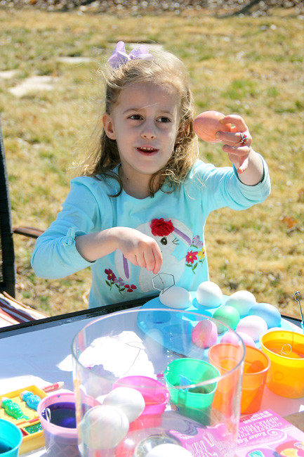 Aut-looking-at-an-egg-and-holding-it-up