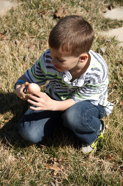 Egg-Thrown_Nathan-looking-at-egg-Aut-threw