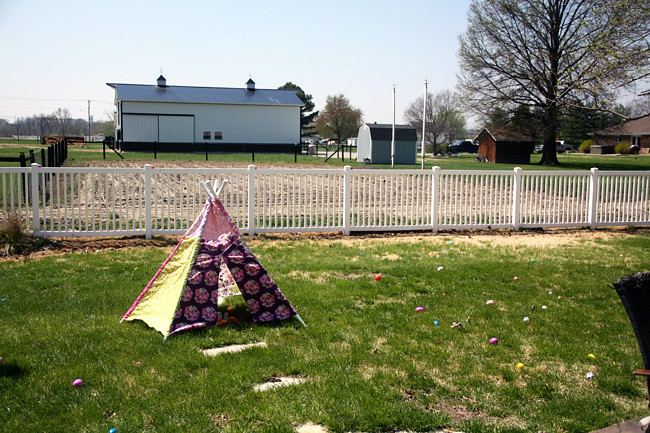 Hunt_The-Backyard