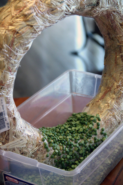 Peas-on-bottom