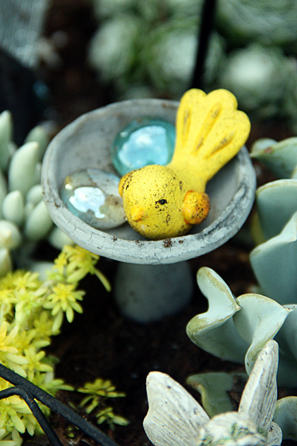 Yellow-bird