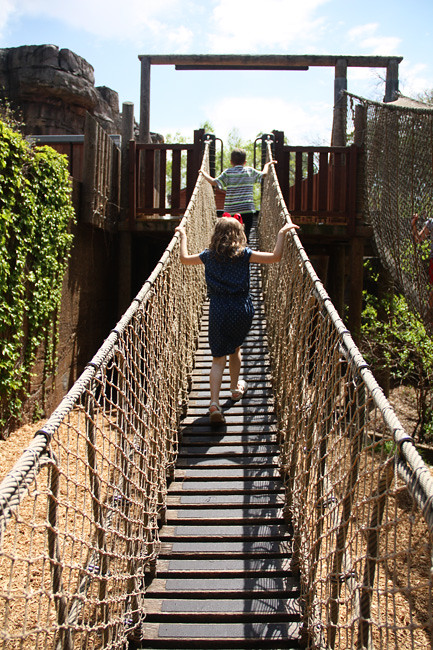 Bridge