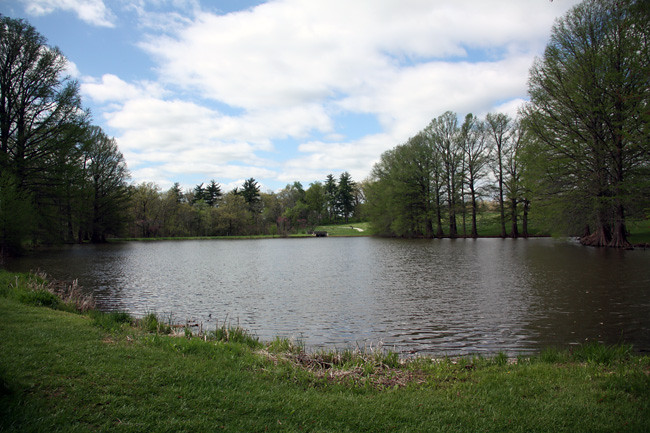 Water-Front