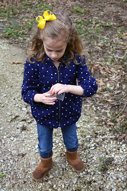 Aut-and-her-observation-box