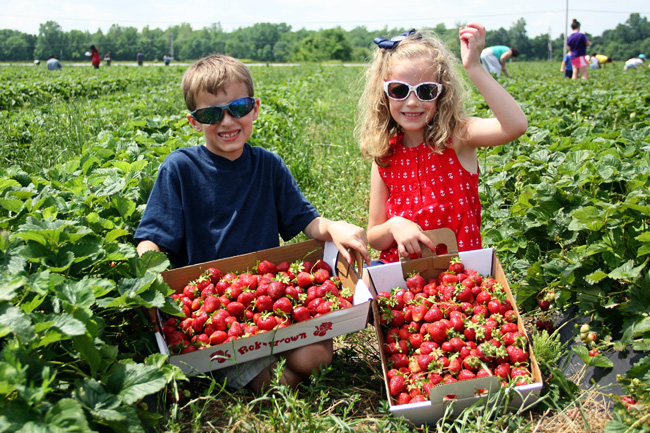 Nat-and-Aut-with-Strawberries