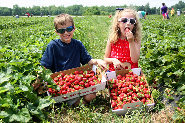 Nat-and-Aut-but-Aut-eating-berry