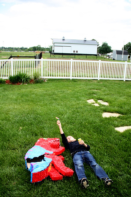 Pinanta_Laying-on-grounf