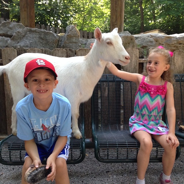 Wow! The goats are so friendly this morning! I love how Autumn is looking at him!