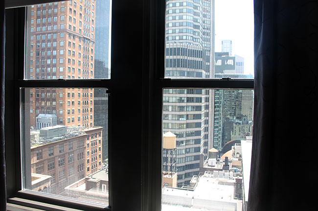 View-outside-our-window