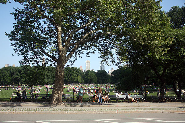 All-the-people-in-central-park