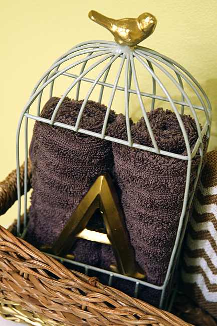 Close-up-of-bird-cage
