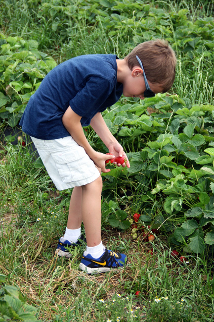 Nat-picking-berries