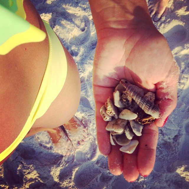 Found me some seashells, including this mollusk shell.