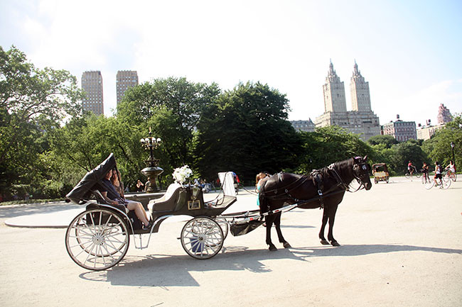 Carriage-Ride-by-Ghost-Buster-Towers