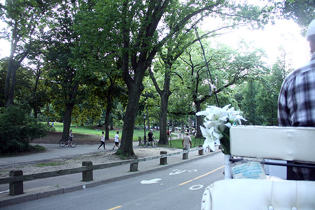 Carriage-Ride-While-On-it