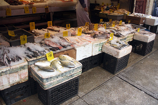 China_Fish