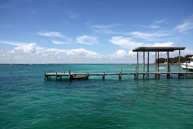 Dewey_another-dock