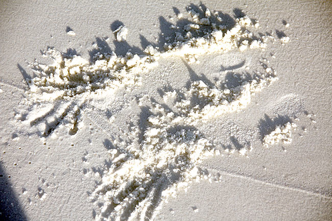 Beach_Aut-Hands