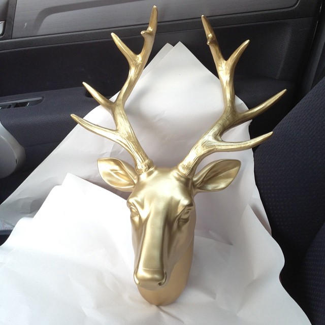So. I just went to Hobby Lobby specifically for this item. #hadtohaveit #nocluewhereitsgoing #50percentoff