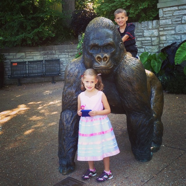 Another zoo day!! Checking out the apes today!! And, yeah... Someone has to dress up as a princess today.