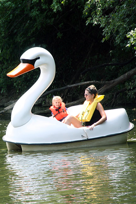 Swan_Me-and-Aut