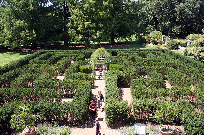 maze
